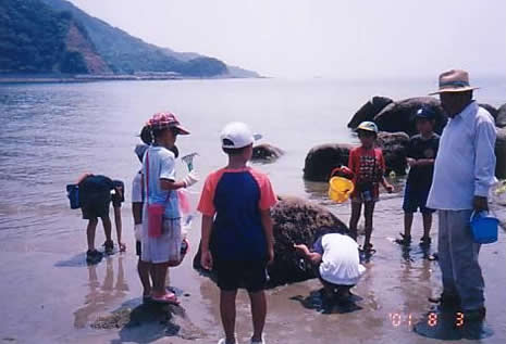 海辺たんけん隊風景